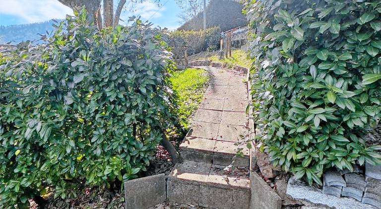 Rental apartment with patio — photo 3