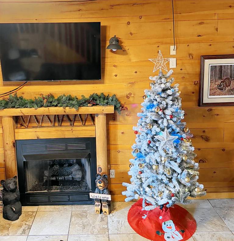 Child-friendly cabin with garden, pool & grill | Mountain view | Pets are welcome — photo 3