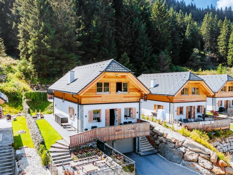 Chalet  Planneralm