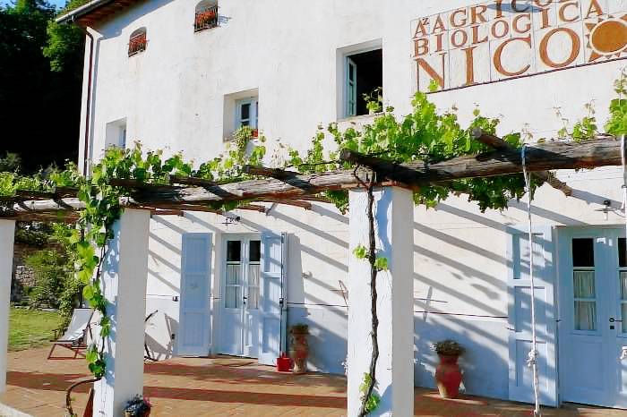Private room Camaiore