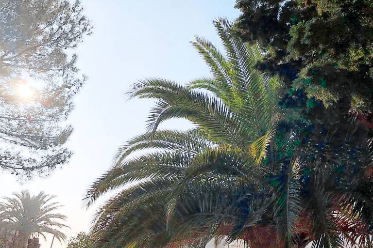 Holiday apartment with yard — photo 3