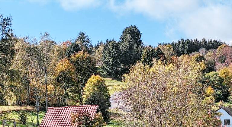 foto4