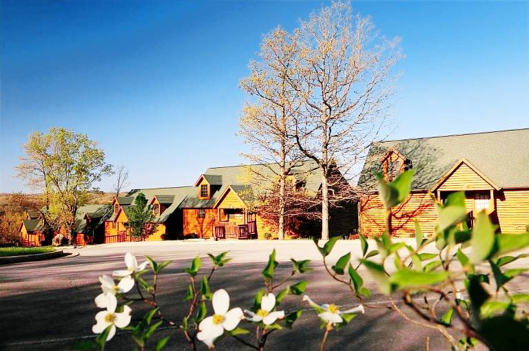Cabin Hollister