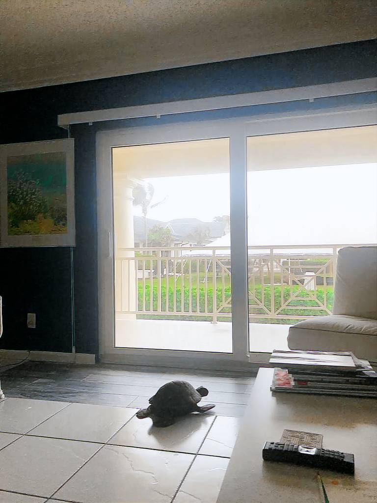 Condo  Indian River Shores