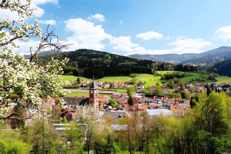 Ferienwohnung Elzach