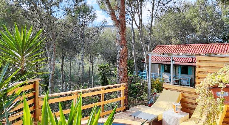 House with pool | Pets allowed — photo 3