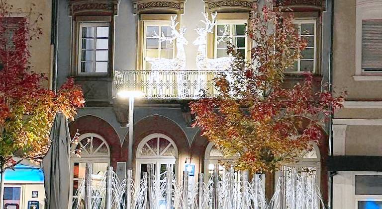 Apartment with patio | Pets allowed in Kaiserslautern