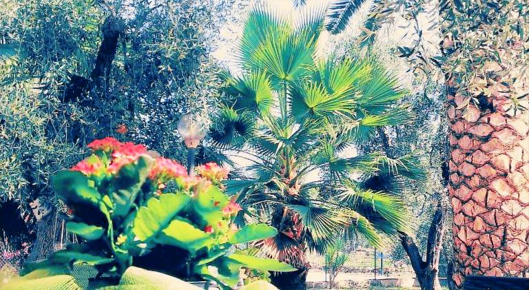 Rental apartment with patio, BBQ & garden in Vieste