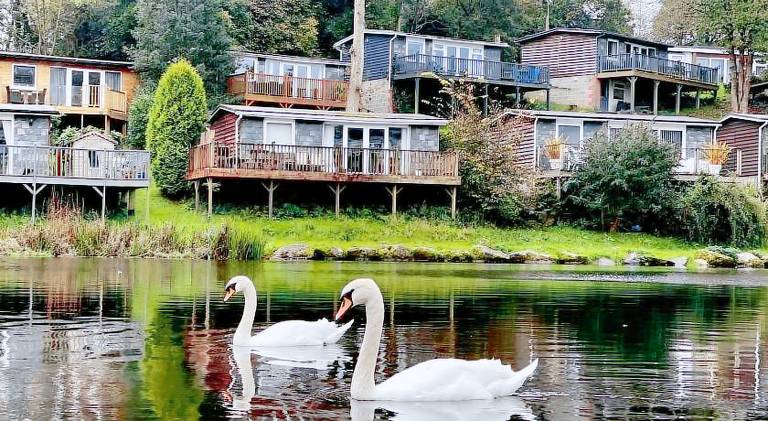 Vacation home with pool | Pets allowed — photo 4