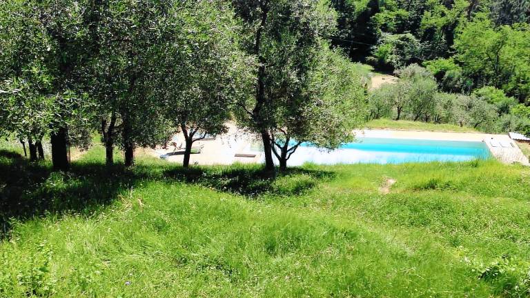 Ferienhaus Massa e Cozzile