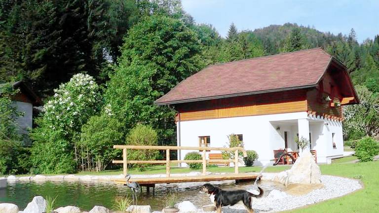 Ferienhaus Eisenwiesen