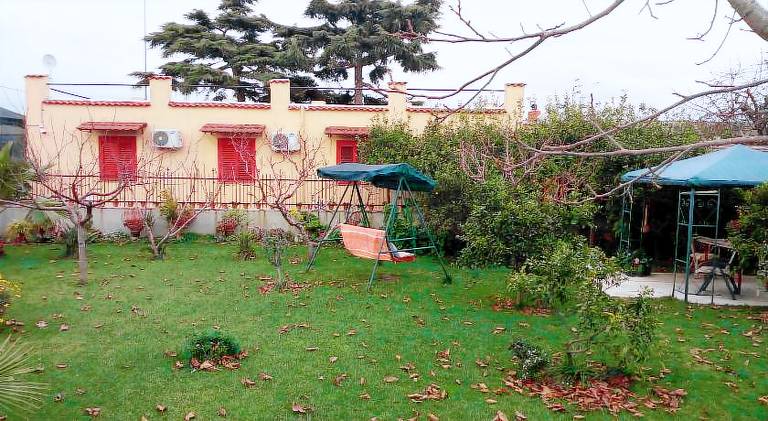 Green Garden — photo 5