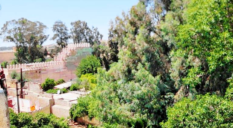 Apartment with jacuzzi | Close to Bou Inania Madrasa | Dogs allowed — photo 5