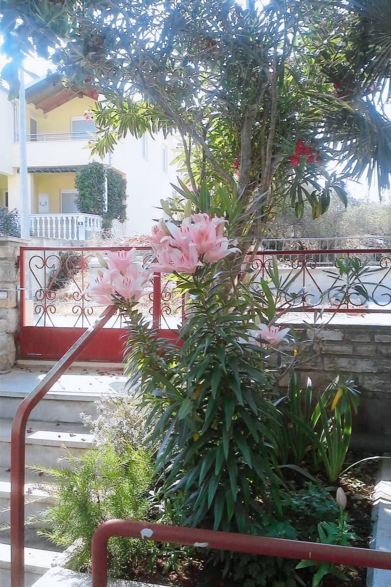 Nice holiday apartment with terrace & barbecue | Close to the beach | Pet-friendly — photo 4