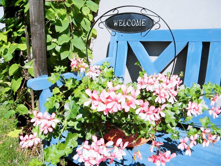 Ferienwohnung mit Hund in Tiefenbach, Sonthofen Allgäu f&uuml;r max. 3 Personen