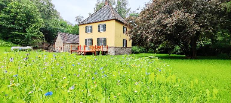 Child-friendly ample house with patio & garden | Panoramic view | Dogs allowed — photo 2
