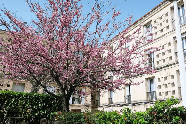 Appartement Aix-en-Provence