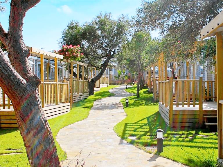 Caravan  Calafat