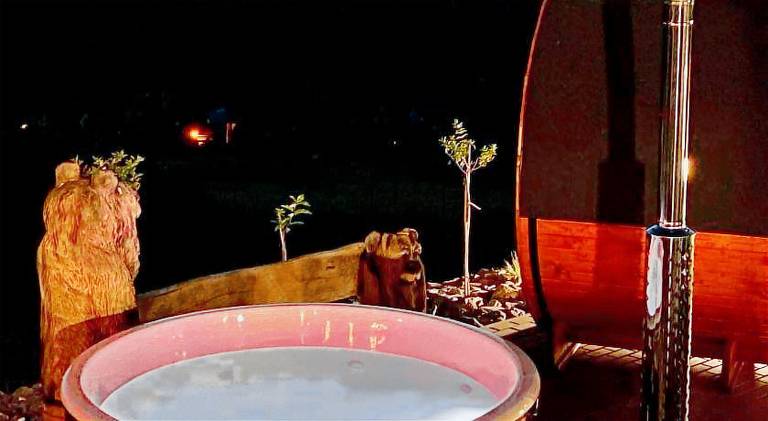 Chalet with jacuzzi — photo 5