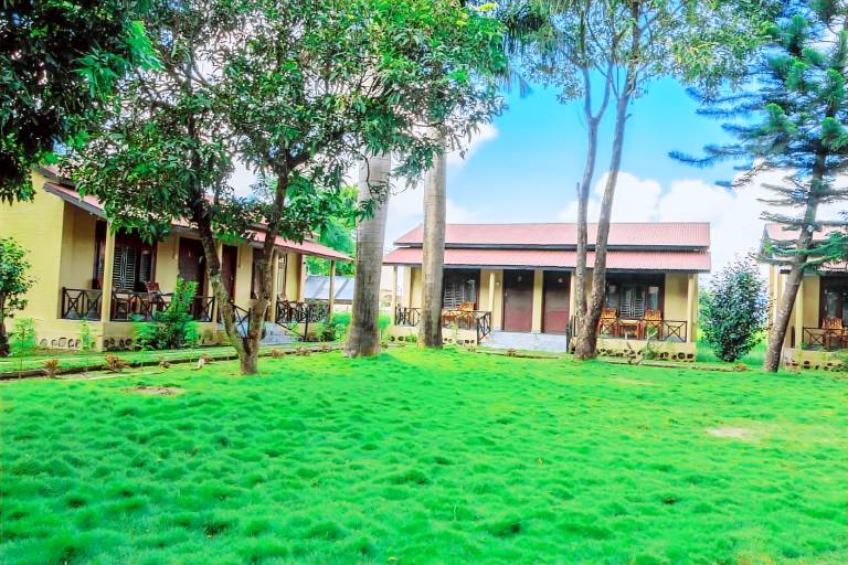 Resort Sauraha