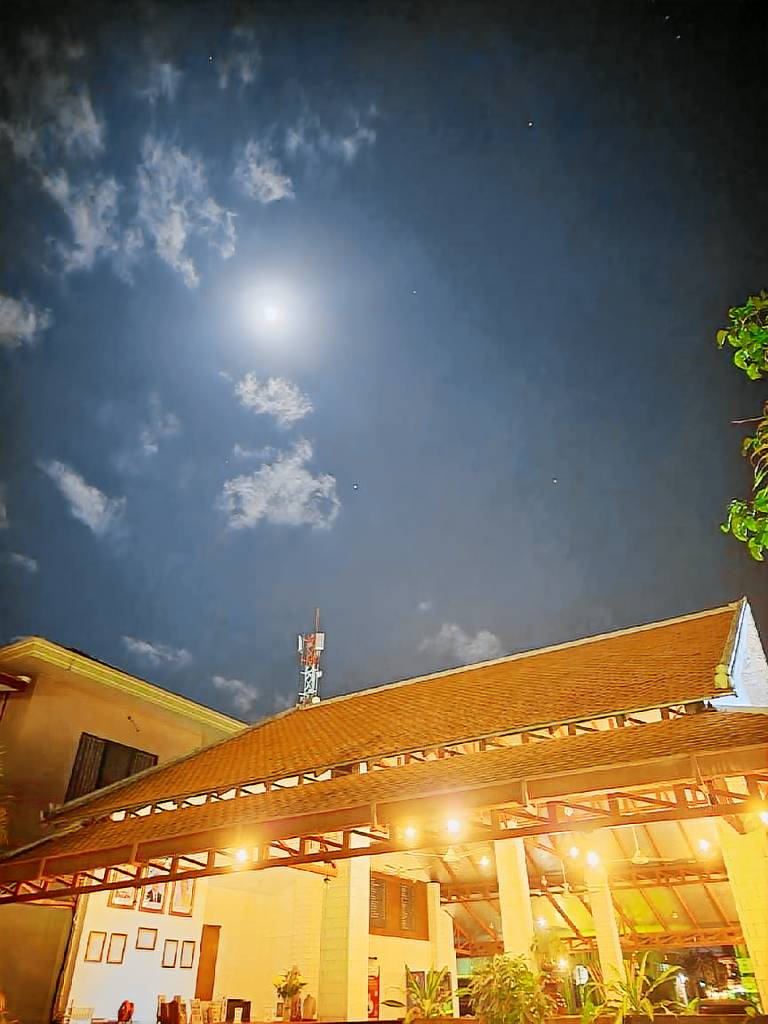 Paradise K Forest Hotel — photo 3