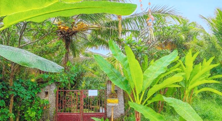 House with pool | Pet-friendly in Ubud