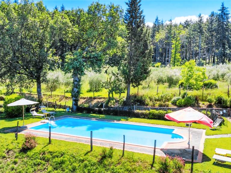 Pleasant apartment with yard, patio & pool | Dogs allowed — photo 5