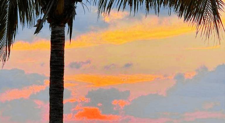 Apartment | Dogs allowed in Cozumel