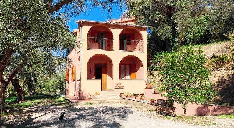 House | Pets allowed in Marcellina