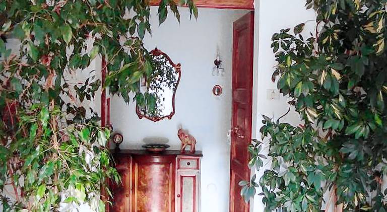 Holiday apartment | Dogs allowed — photo 5