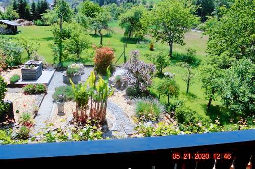 foto5