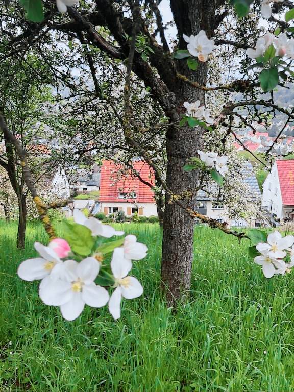 Ferienhaus Beverungen