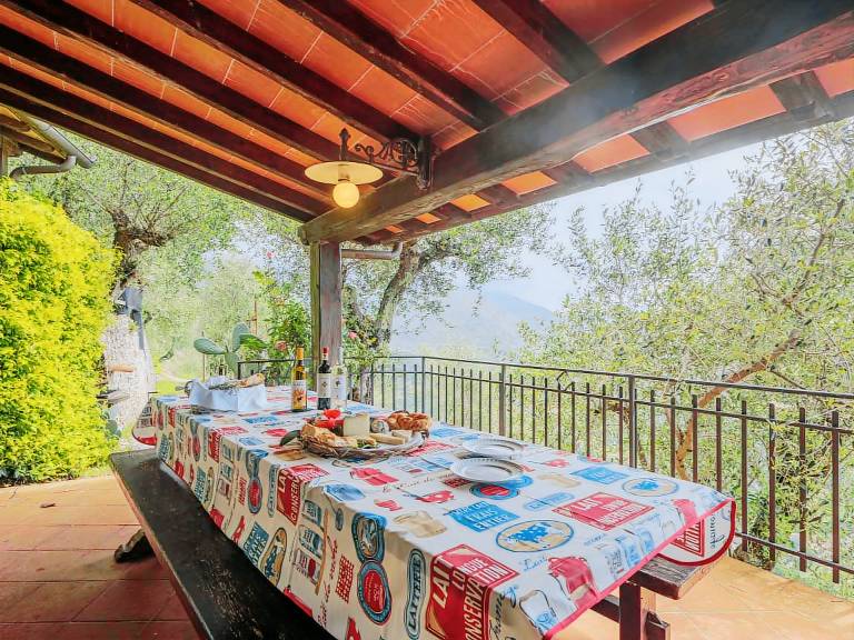 House with private pool, barbecue & patio | Mountain view | Pet-friendly — photo 4