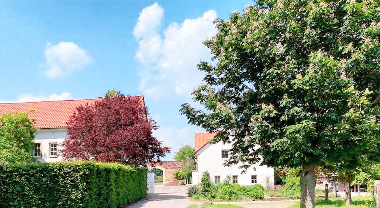 Wonderful holiday apartment | Pet-friendly in Chemnitz