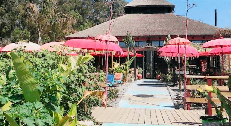 Beautiful rental apartment with garden | Close to the beach | Good for workation | Pets are welcome — photo 4