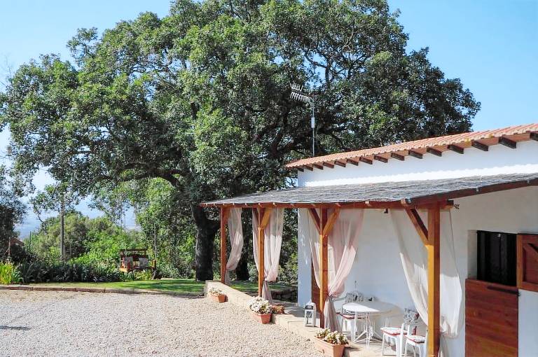 Casa vacanza  Scansano