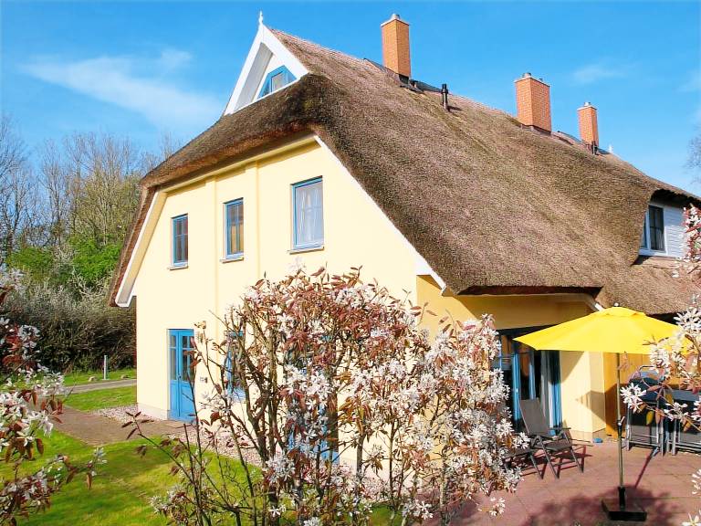 Child-friendly nice house with barbeque, garden & terrace | Dogs allowed — photo 3