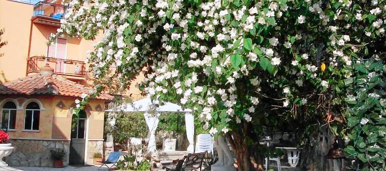 Bed & Breakfast Frascati