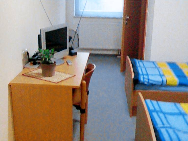foto2