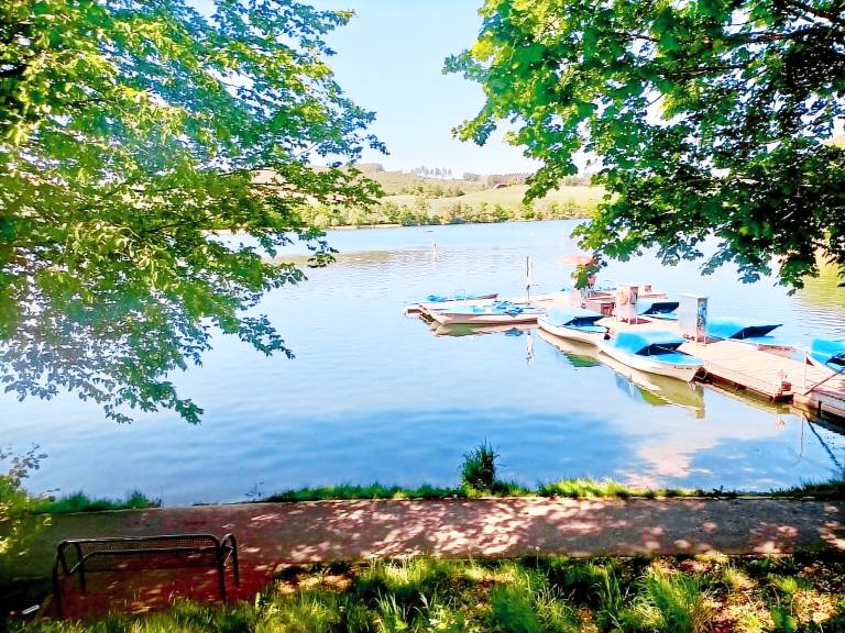 Vacation home with terrace, sauna & fast internet | Lake view — photo 4