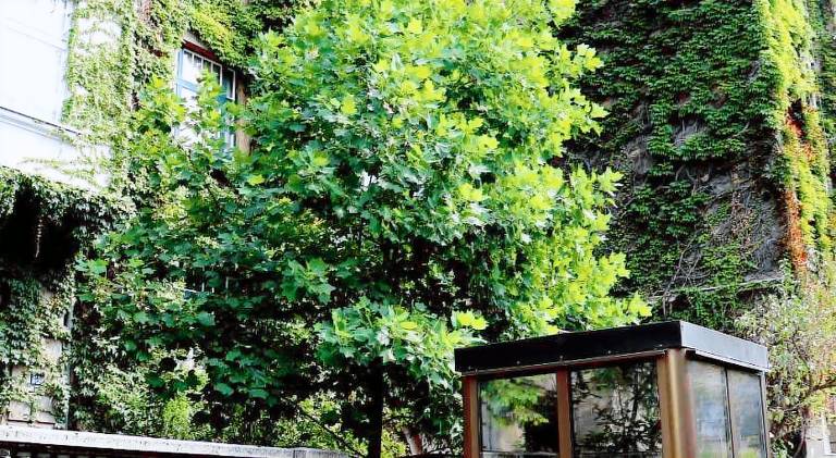 Rental apartment | Near Ban Jelačić Square in Zagreb