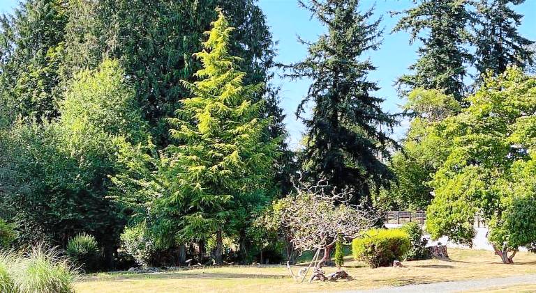 Modern Studio in MarysVille A Forest Haven — photo 5