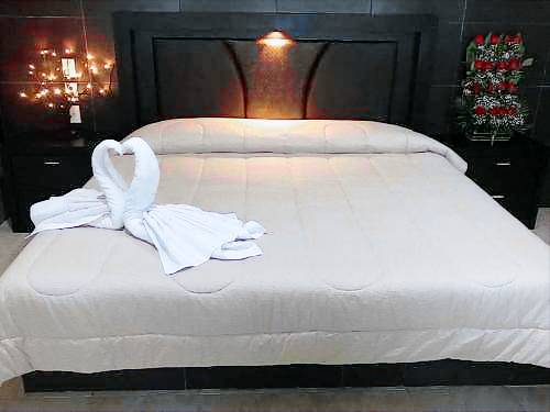 Hotel Fiesta Mexicana Rio de las Avenidas Pachuca