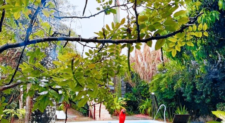 Rental apartment with pool | Pet-friendly — photo 3