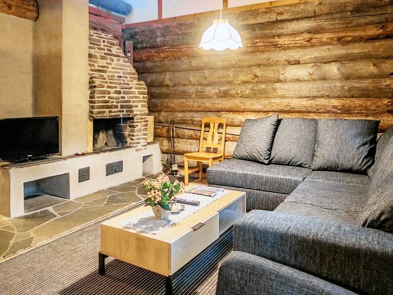 House with sauna | Nature view | Dogs allowed — photo 4