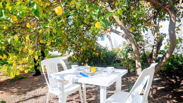 Child-friendly beautiful holiday apartment with patio & yard | Pet-friendly — photo 3