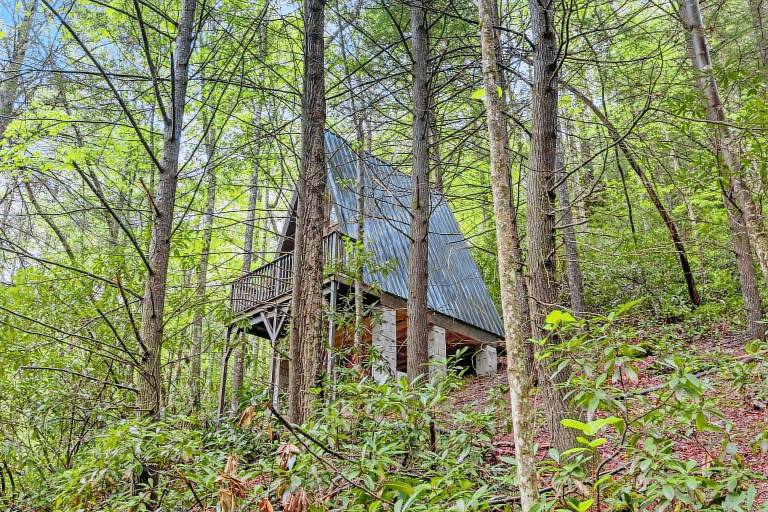 Cabin Red River Gorge