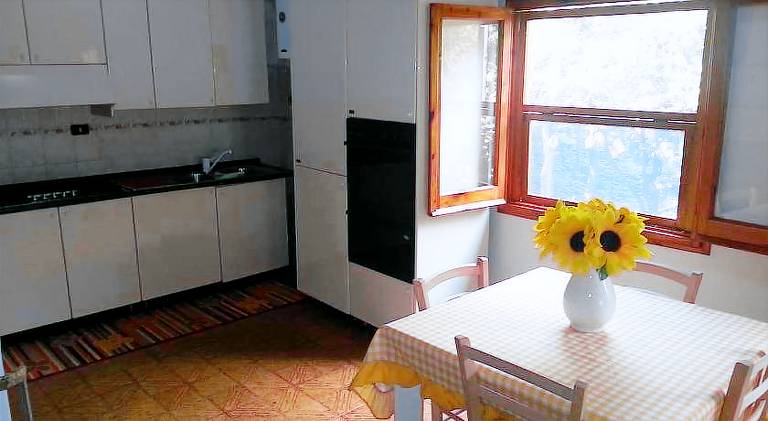 House | Pet-friendly — photo 4