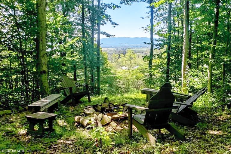 Cabin Davis