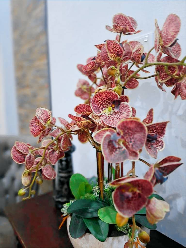foto4
